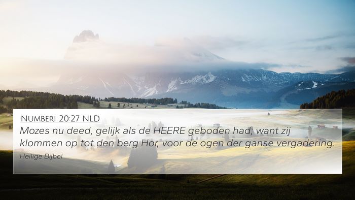 Numberi 20:27 NLD Bible Verse Image
