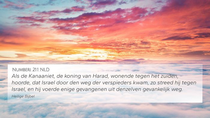 Numberi 21:1 NLD Bible Verse Image