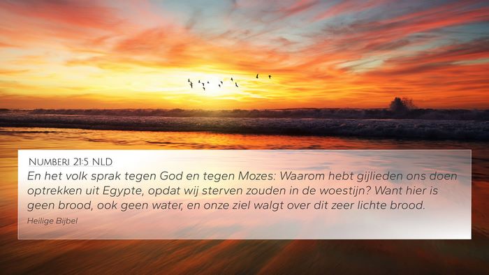 Numberi 21:5 NLD Bible Verse Image