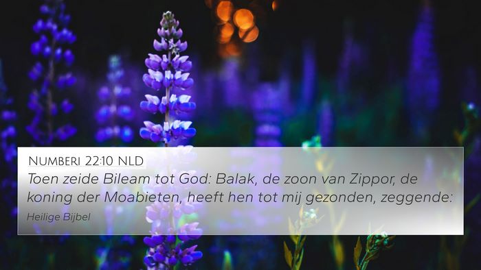 Numberi 22:10 NLD Bible Verse Image