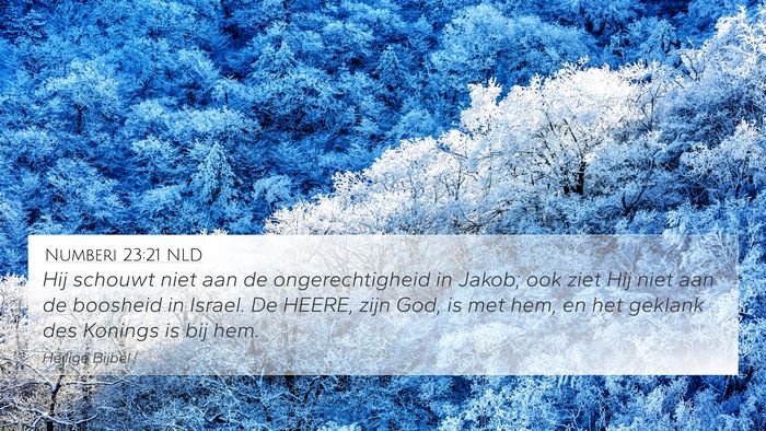 Numberi 23:21 NLD Bible Verse Image