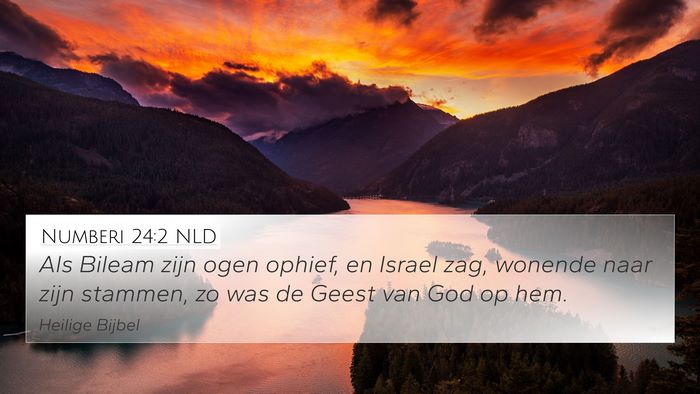 Numberi 24:2 NLD Bible Verse Image