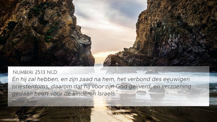 Numberi 25:13 NLD Bible Verse Image