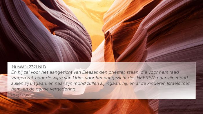 Numberi 27:21 NLD Bible Verse Image
