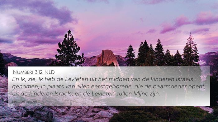 Numberi 3:12 NLD 4K Wallpaper - En Ik, zie, Ik heb de Levieten uit het midden van - 4K Wallpaper Bible Verse