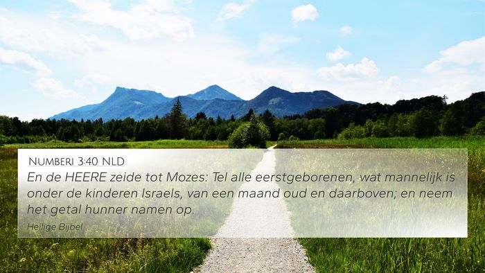 Numberi 3:40 NLD Bible Verse Image