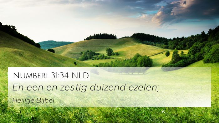 Numberi 31:34 NLD 4K Wallpaper - En een en zestig duizend - 4K Wallpaper Bible Verse