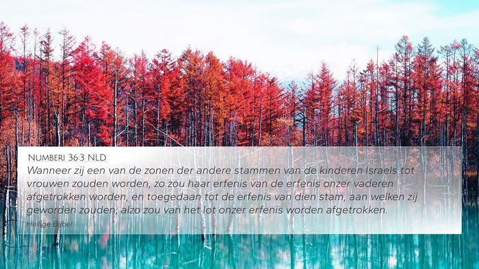 Numberi 36:3 NLD 4K Wallpaper - Wanneer zij een van de zonen der andere stammen - 4K Wallpaper Bible Verse