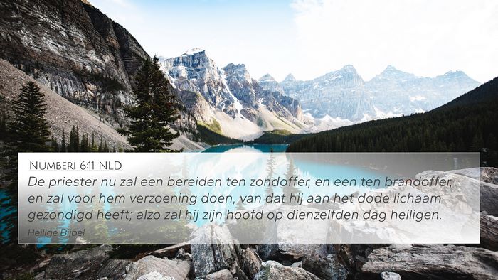 Numberi 6:11 NLD 4K Wallpaper - De priester nu zal een bereiden ten zondoffer, en - 4K Wallpaper Bible Verse