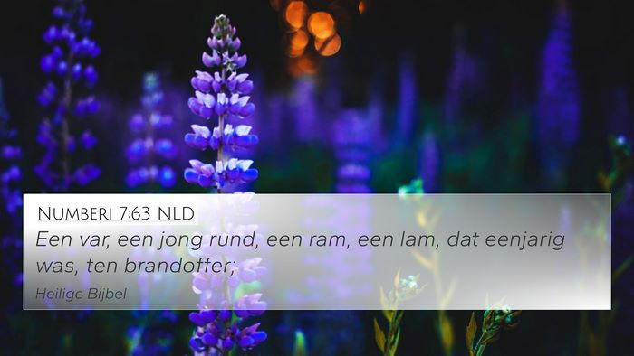 Numberi 7:63 NLD 4K Wallpaper - Een var, een jong rund, een ram, een lam, dat - 4K Wallpaper Bible Verse