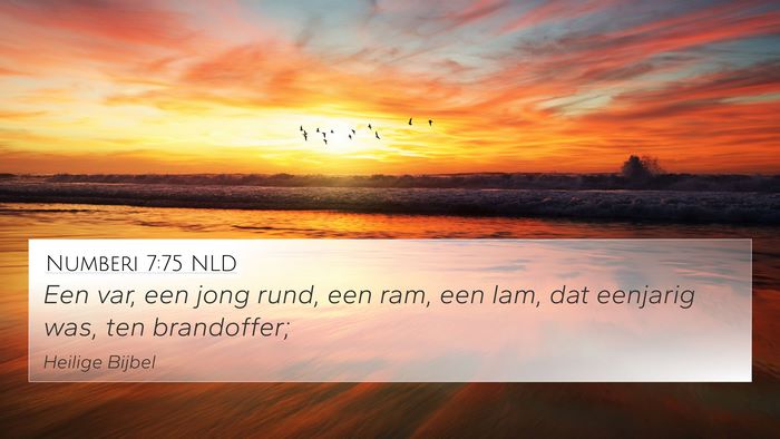 Numberi 7:75 NLD 4K Wallpaper - Een var, een jong rund, een ram, een lam, dat - 4K Wallpaper Bible Verse