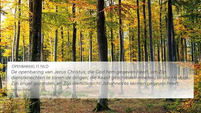Openbaring 1:1 NLD Bible Verse Image