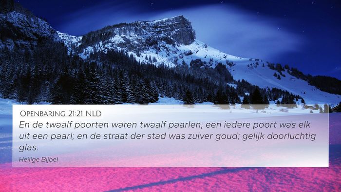 Openbaring 21:21 NLD Bible Verse Image