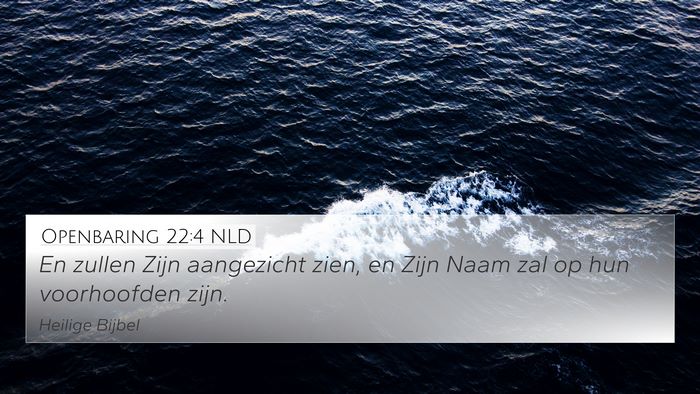 Openbaring 22:4 NLD Bible Verse Image