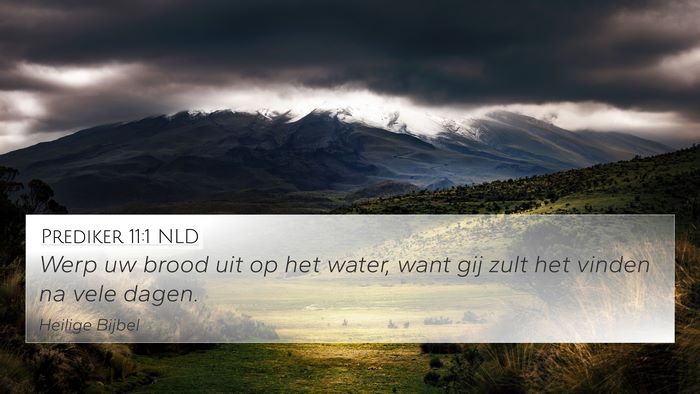 Prediker 11:1 NLD Bible Verse Image