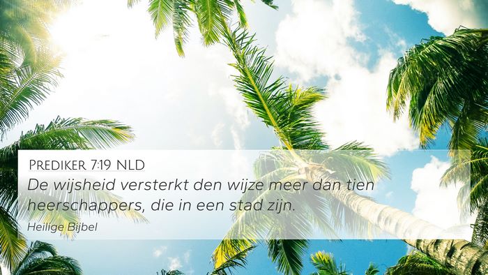 Prediker 7:19 NLD Bible Verse Image