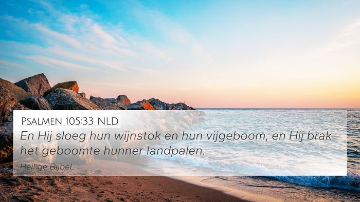Psalmen 105:33 NLD 4K Wallpaper - En Hij sloeg hun wijnstok en hun vijgeboom, en - 4K Wallpaper Bible Verse
