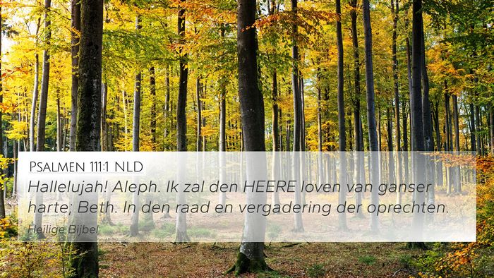 Psalmen 111:1 NLD Bible Verse Image