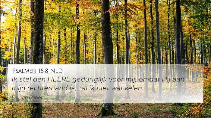 Psalmen 16:8 NLD Bible Verse Image