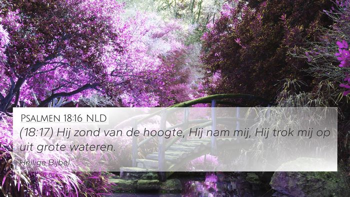 Psalmen 18:16 NLD Bible Verse Image