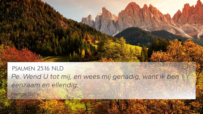 Psalmen 25:16 NLD Bible Verse Image