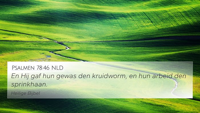 Psalmen 78:46 NLD Bible Verse Image
