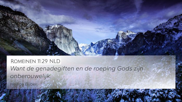 Romeinen 11:29 NLD Bible Verse Image