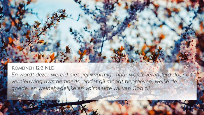 Romeinen 12:2 NLD Bible Verse Image