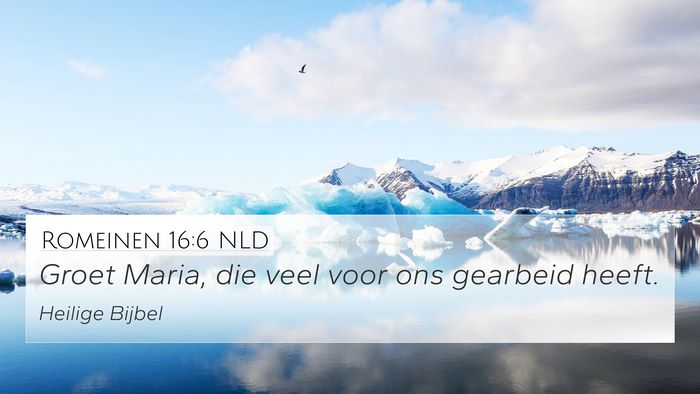 Romeinen 16:6 NLD Bible Verse Image