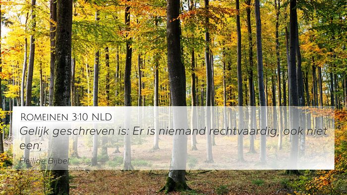 Romeinen 3:10 NLD Bible Verse Image