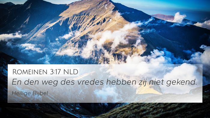 Romeinen 3:17 NLD Bible Verse Image