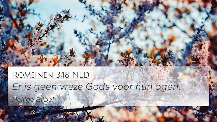 Romeinen 3:18 NLD Bible Verse Image