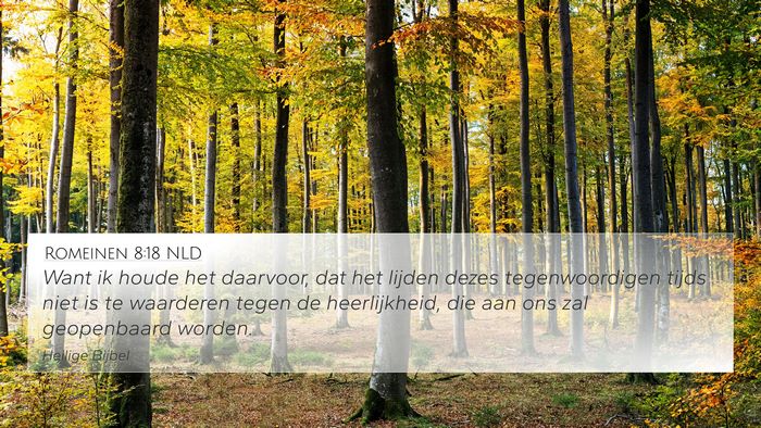 Romeinen 8:18 NLD Bible Verse Image