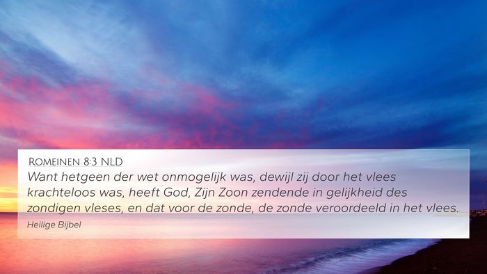 Romeinen 8:3 NLD Bible Verse Image