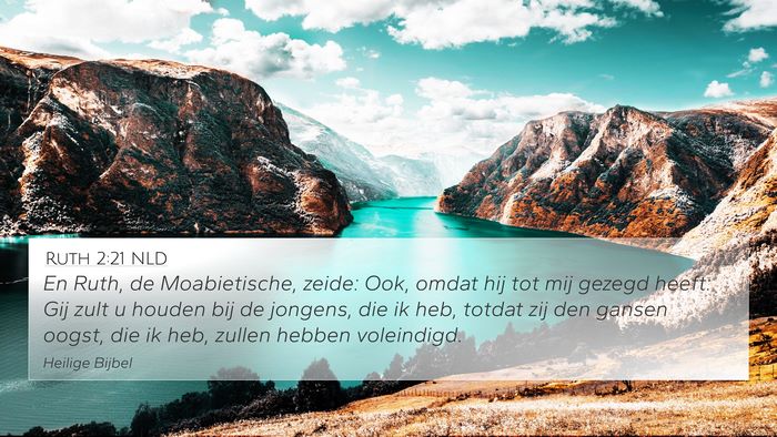 Ruth 2:21 NLD 4K Wallpaper - En Ruth, de Moabietische, zeide: Ook, omdat hij - 4K Wallpaper Bible Verse