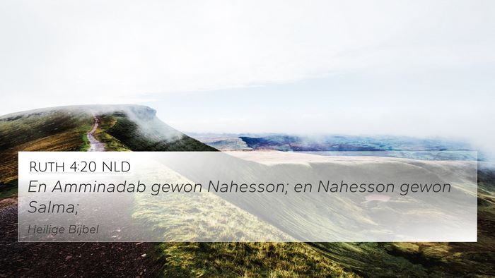 Ruth 4:20 NLD Bible Verse Image