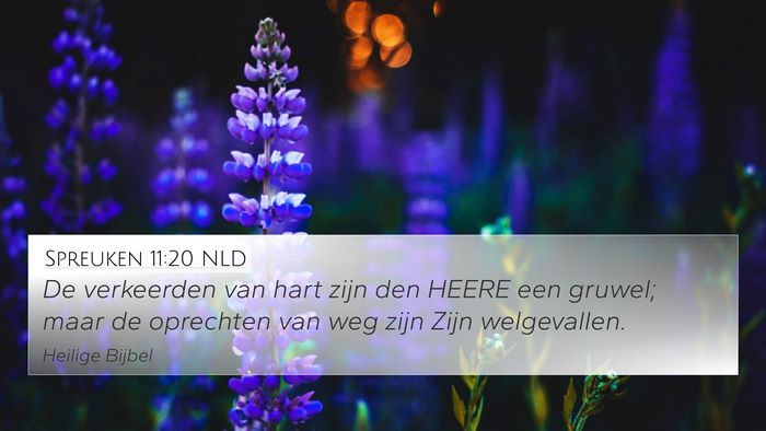 Spreuken 11:20 NLD Bible Verse Image