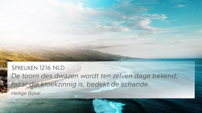 Spreuken 12:16 NLD Bible Verse Image