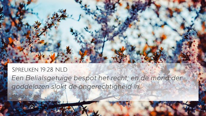 Spreuken 19:28 NLD 4K Wallpaper - Een Belialsgetuige bespot het recht; en de mond - 4K Wallpaper Bible Verse