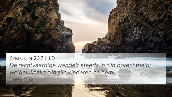 Spreuken 20:7 NLD Bible Verse Image