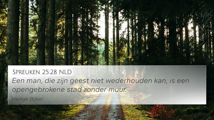 Spreuken 25:28 NLD Bible Verse Image