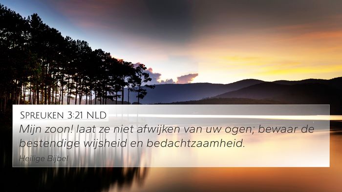 Spreuken 3:21 NLD Bible Verse Image