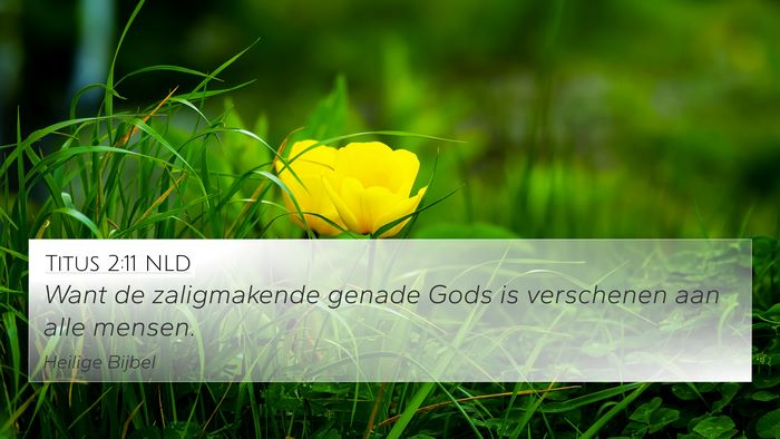 Titus 2:11 NLD Bible Verse Image