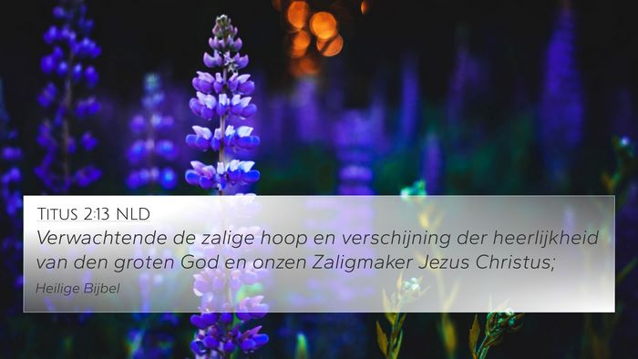 Titus 2:13 NLD Bible Verse Image