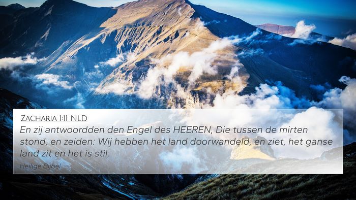 Zacharia 1:11 NLD Bible Verse Image