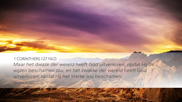 1 Corinthiërs 1:27 NLD Bible Verse Image
