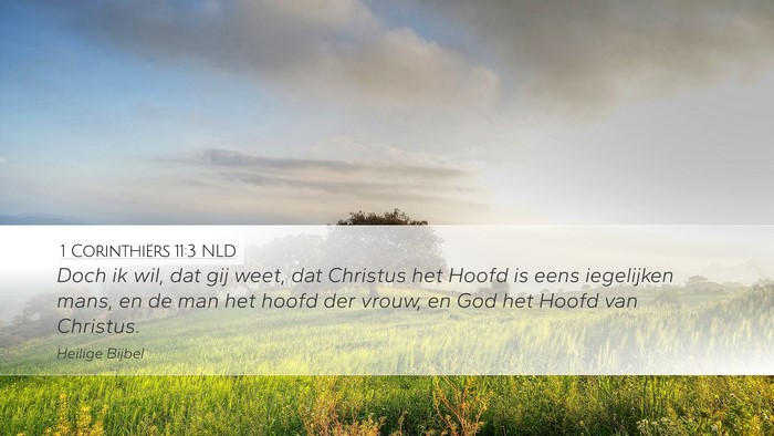 1 Corinthiërs 11:3 NLD Bible Verse Image
