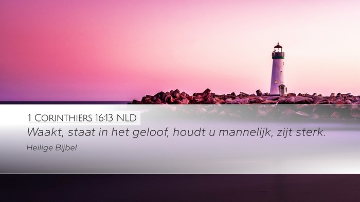 1 Corinthiërs 16:13 NLD Bible Verse Image