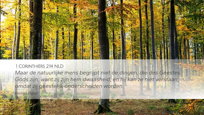 1 Corinthiërs 2:14 NLD Bible Verse Image