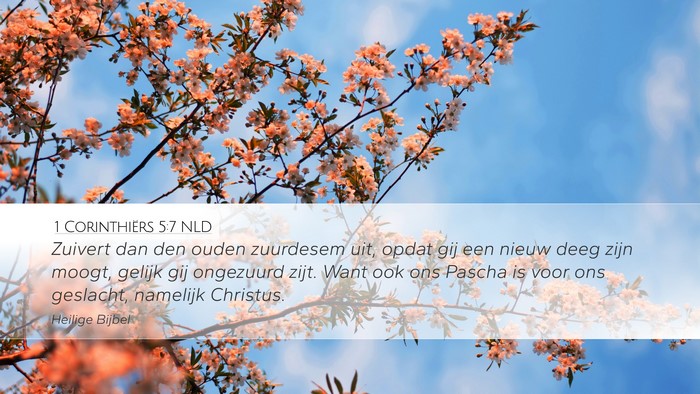 1 Corinthiërs 5:7 NLD Bible Verse Image